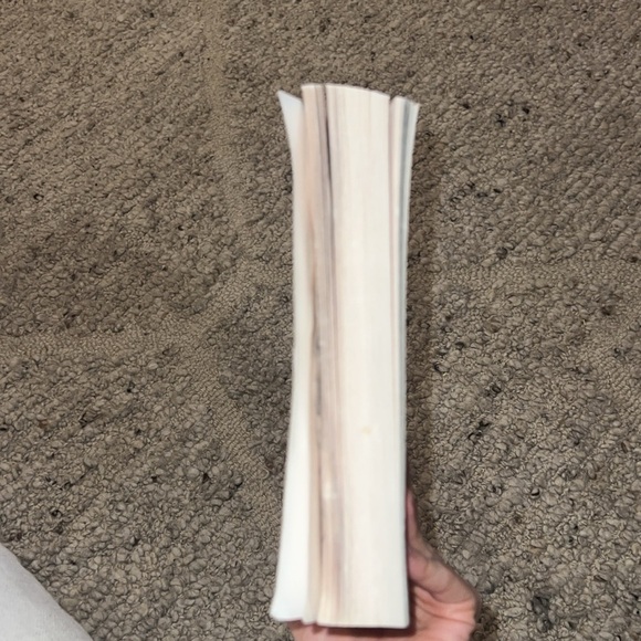 The Red Tent by Anita Diamant book used condition soft cover read novel - Picture 2 of 5